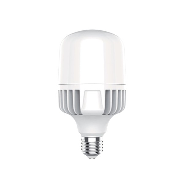 INGELEC Ampoule LED Haute Puissance 30W - SmartLed