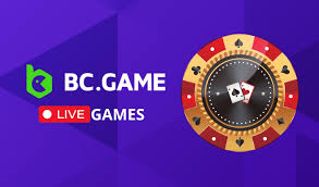 The Ultimate Guide to B C Fun Login The Ultimate Guide to B C Fun Login