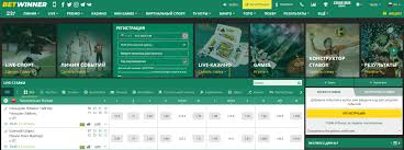 BetWinner in Cameroon - Your Comprehensive Guide
