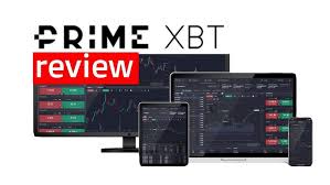 Comprehensive Guide to PrimeXBT Info Hub