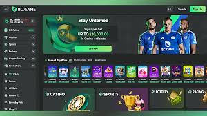 Discover the Thrill of Gambling BC.Game USA