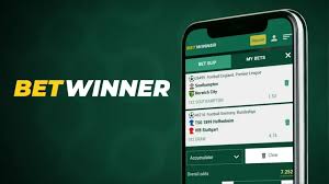 Assessing the Reliability of BetWinner A Comprehensive Guide Assessing the Reliability of BetWinner A Comprehensive Guide